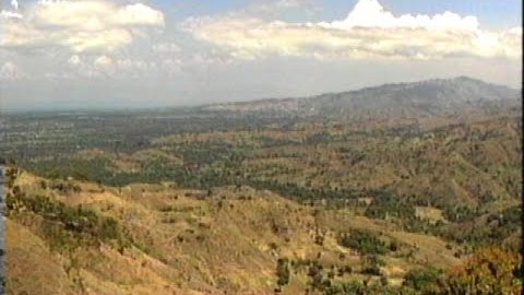 Pou yon Ayiti vèt nèt
